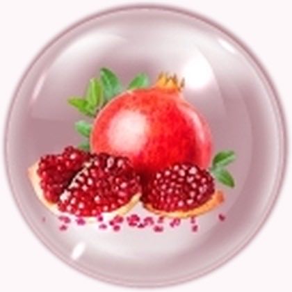 สารสกัดทับทิม (Pomegranate Extract)